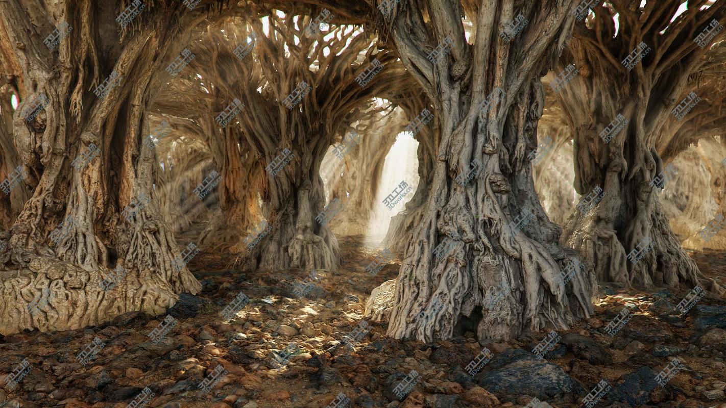 images/goods_img/202104022/Dragon Forest/4.jpg